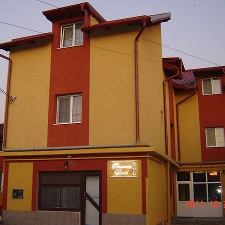 Pensiunea Vladut Timişoara Extérieur photo