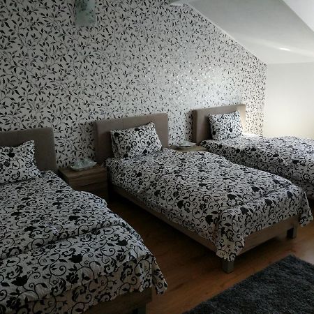 Pensiunea Vladut Timişoara Extérieur photo