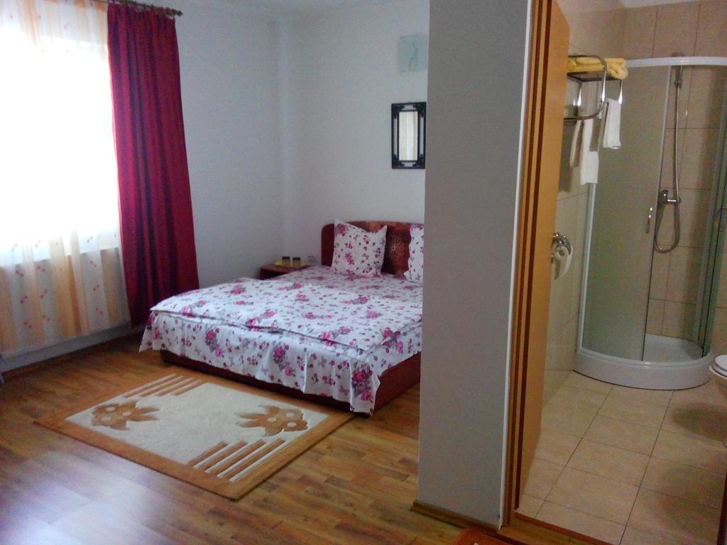 Pensiunea Vladut Timişoara Chambre photo