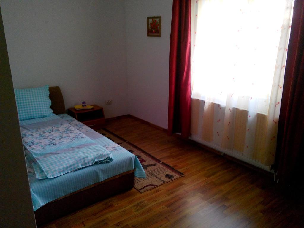 Pensiunea Vladut Timişoara Chambre photo