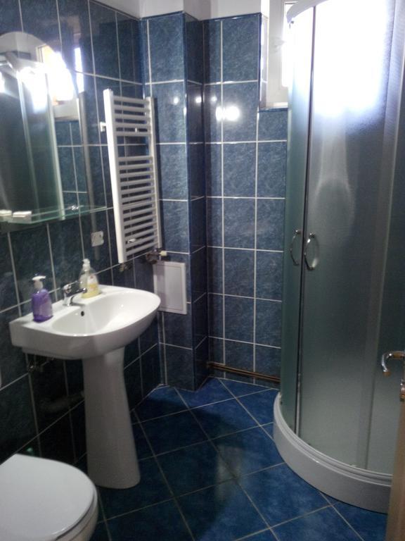 Pensiunea Vladut Timişoara Extérieur photo