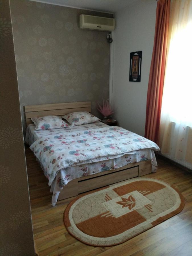 Pensiunea Vladut Timişoara Extérieur photo