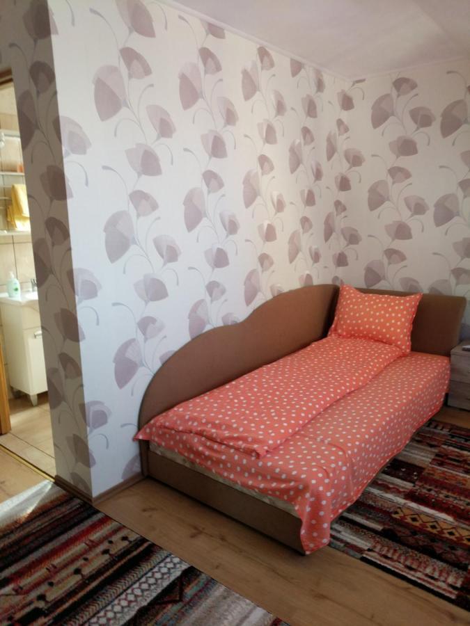 Pensiunea Vladut Timişoara Extérieur photo