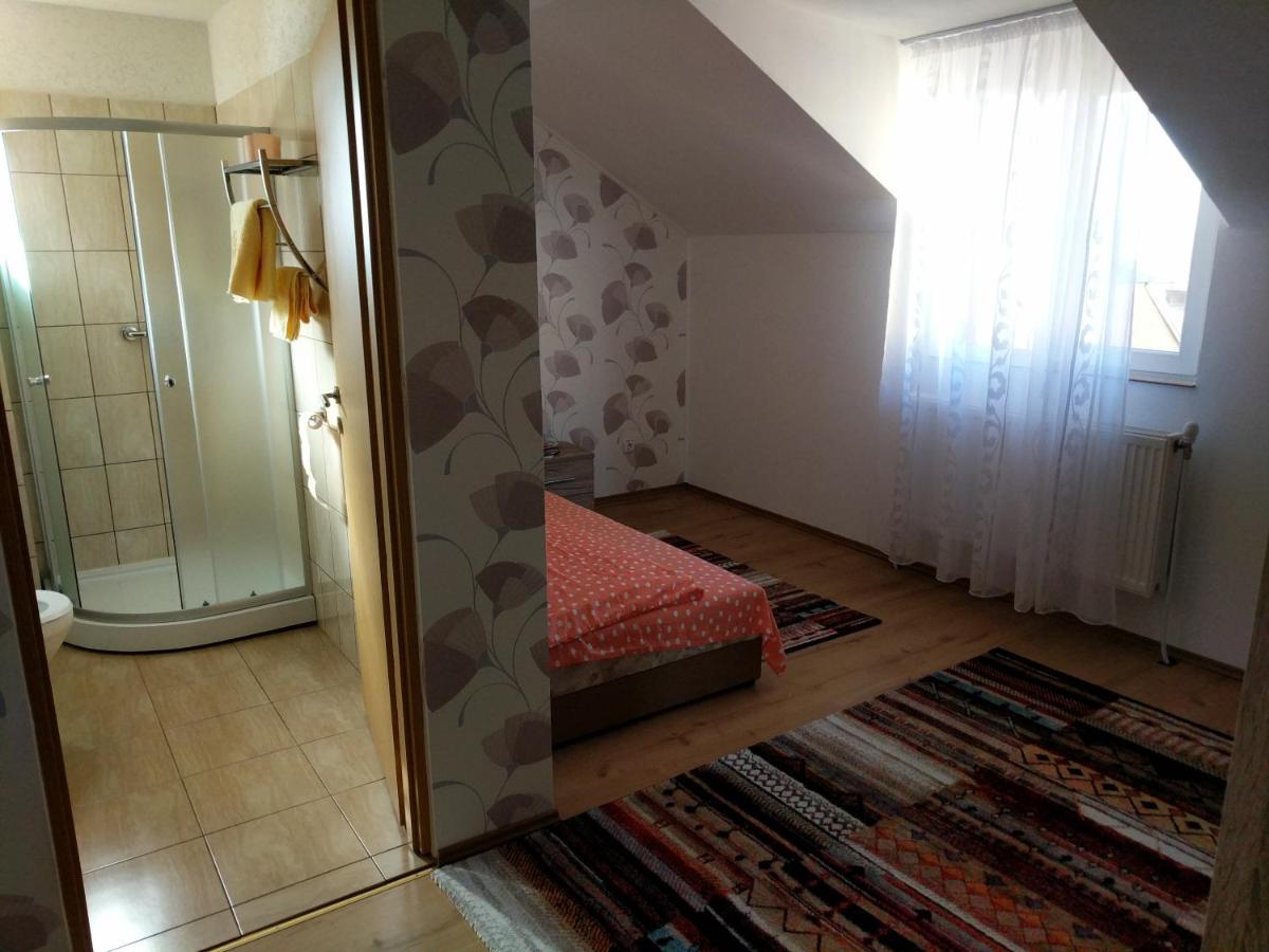 Pensiunea Vladut Timişoara Extérieur photo